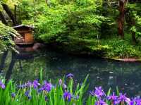 Nezu Museum – Where Art, Architecture, and Nature Meet in Harmony
