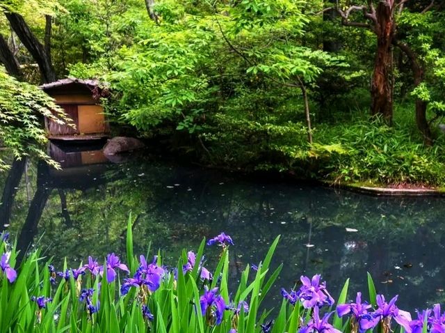 Nezu Museum – Where Art, Architecture, and Nature Meet in Harmony