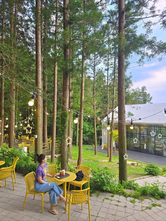 비밀스런 숲속 정원이 펼쳐지는 부산카페🌳