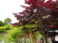 Hida no Sato (หมู่บ้านฮิดะฟุรุซาโตะ)