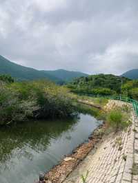 香港｜歷史悠久的山中之村落——赤徑村🏠🌳