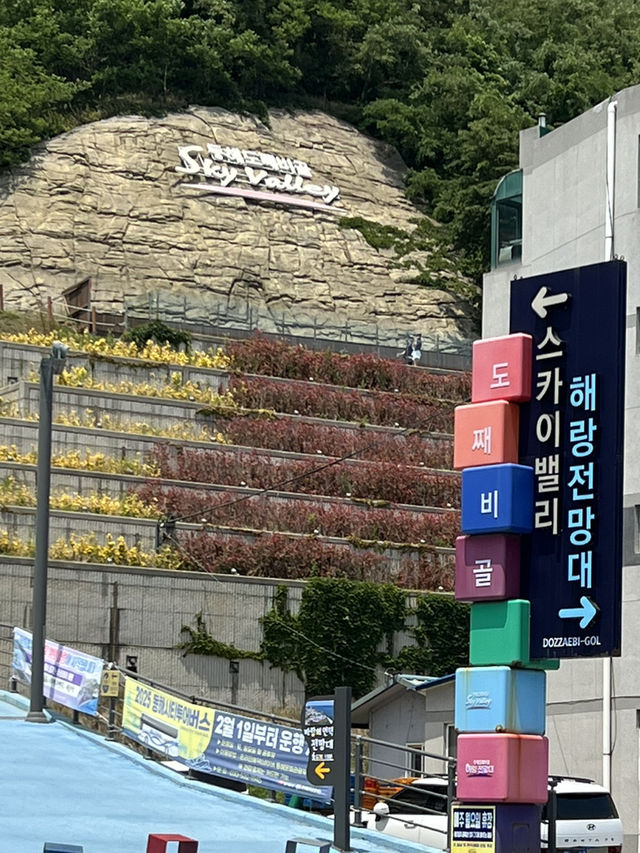 동해 추암해변과 묵호