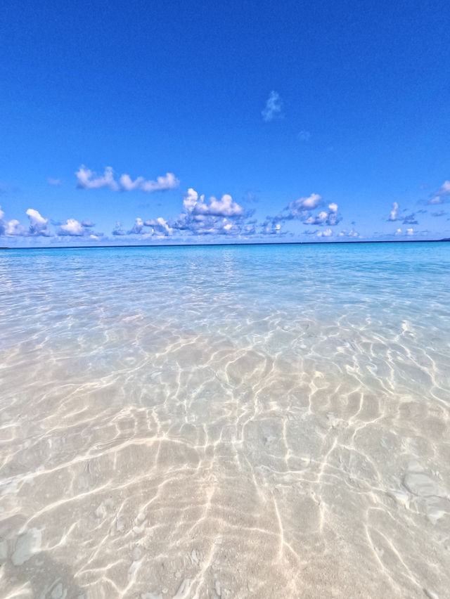 【波照間島】日本最南端の島🏝️