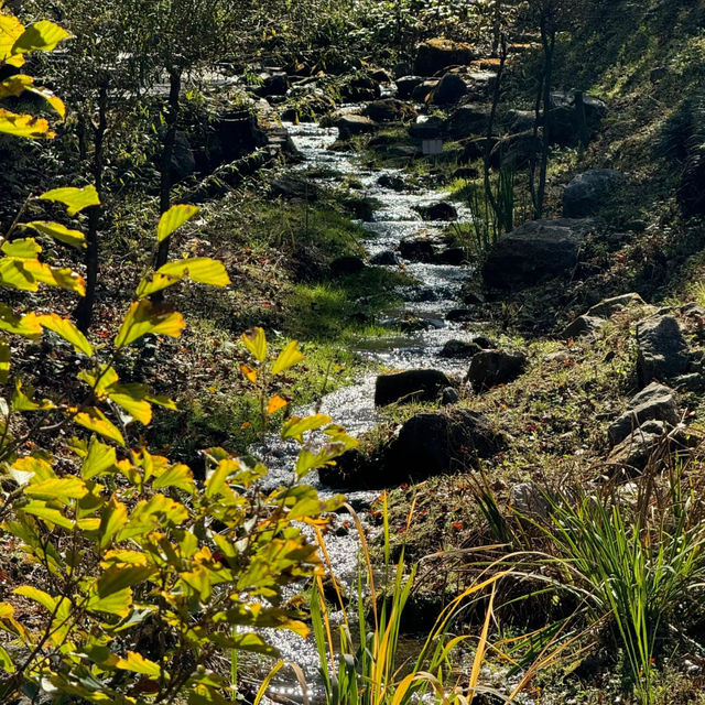 🌿 Near-Seoul Oxygen Boost at Jade Garden!🌼
