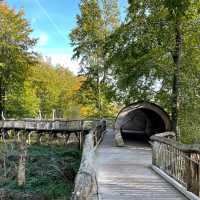 Eifel National Park Hike 🌲🚶‍♀️