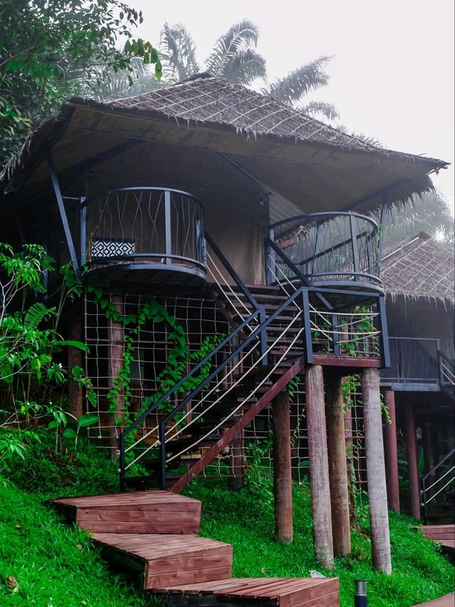 khaosok boutique camps สุราษฎร์ธานี