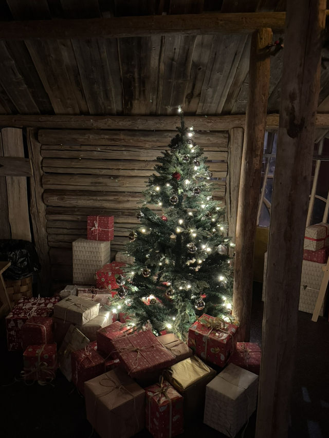 【フィンランド🇫🇮】サンタクロースに会える？！サンタクロースヴィレッジ🎅🏼