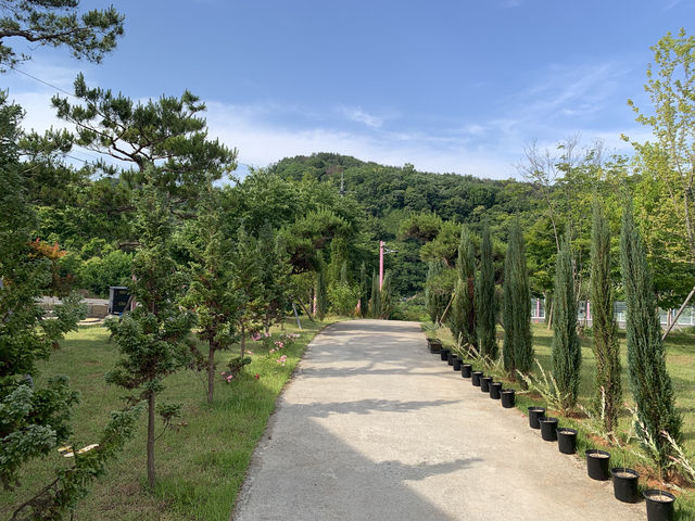 🌸핑크빛 동화 속 하루, 카페 랄콜에서 힐링 타임🎀