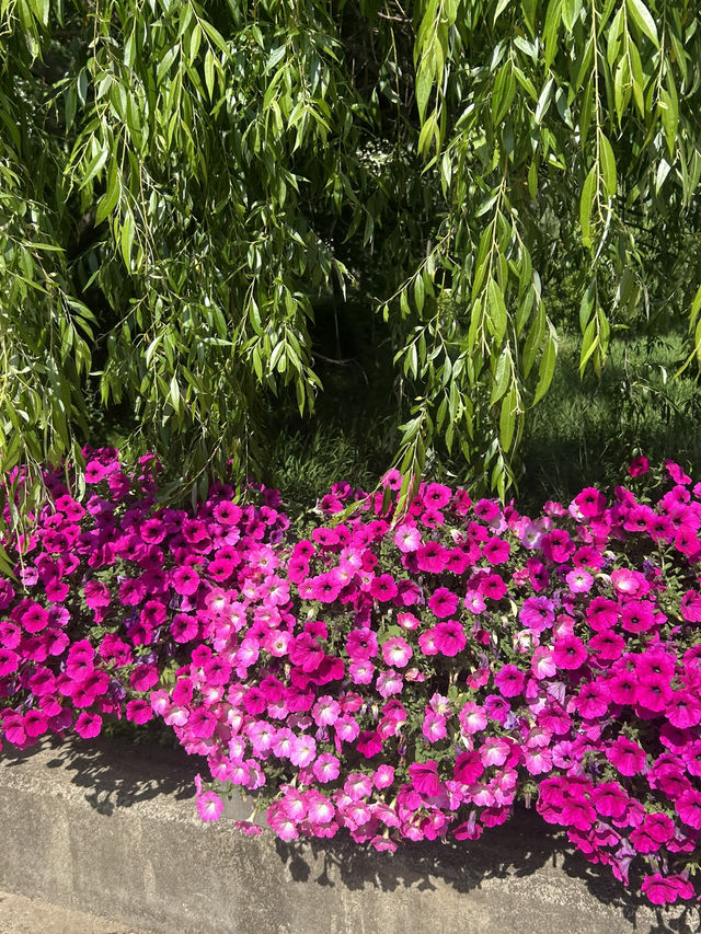 🌳 자연 속에서 만나는 배움과 휴식, 미동산수목원