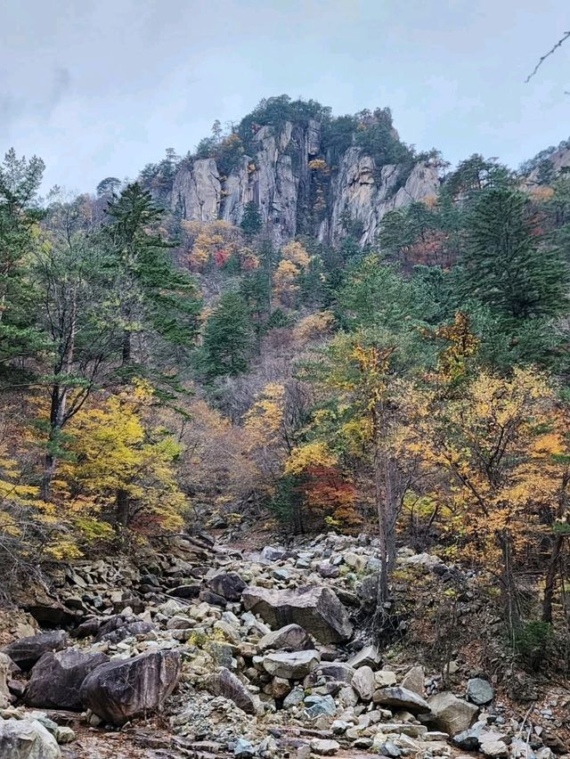 Zen Vibes and Mountain Vibes at Baekdamsa