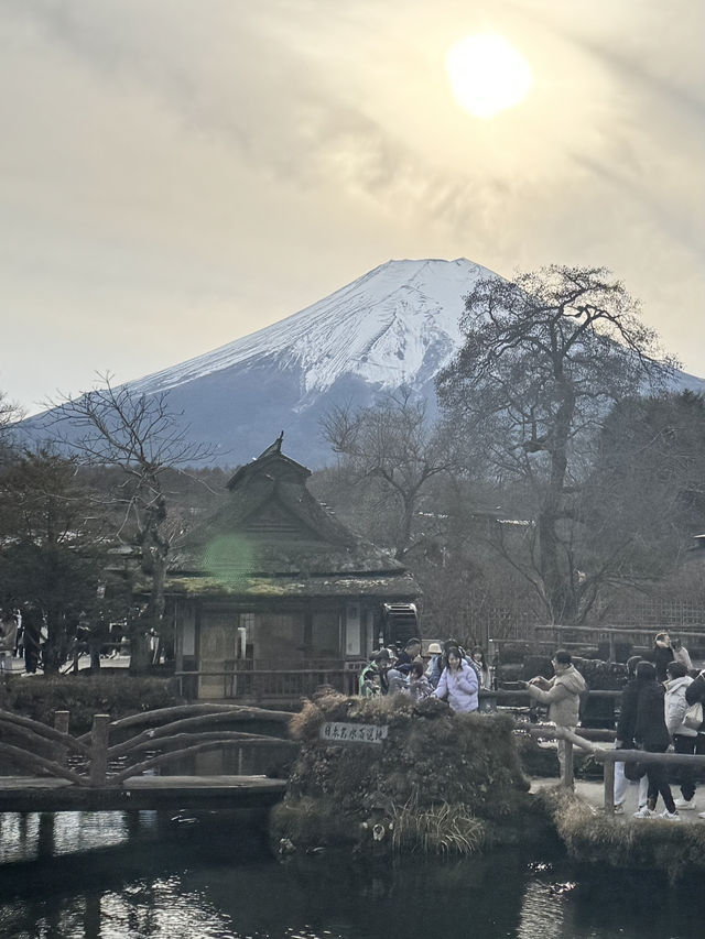 一日行程體驗🗻富士山🗻