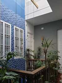 A jungle styled hostel in Malaga
