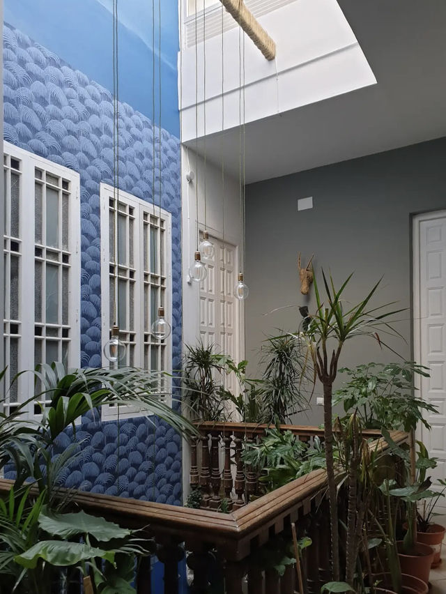 A jungle styled hostel in Malaga