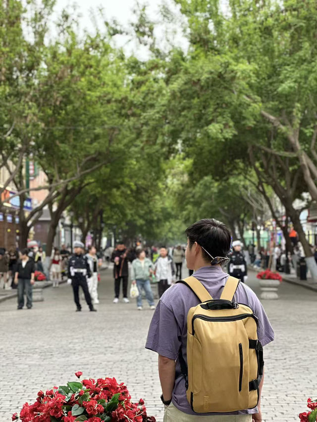 🏙️ 漫步哈爾濱｜城市的邊界，是旅行的起點 ✨