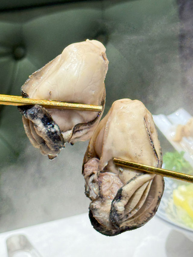香港火鍋美食｜椰子雞湯配龍蝦海鮮🦞