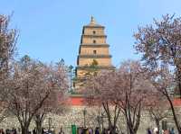 🇨🇳 เจดีย์ห่านป่าใหญ่ (Giant Wild Goose Pagoda)