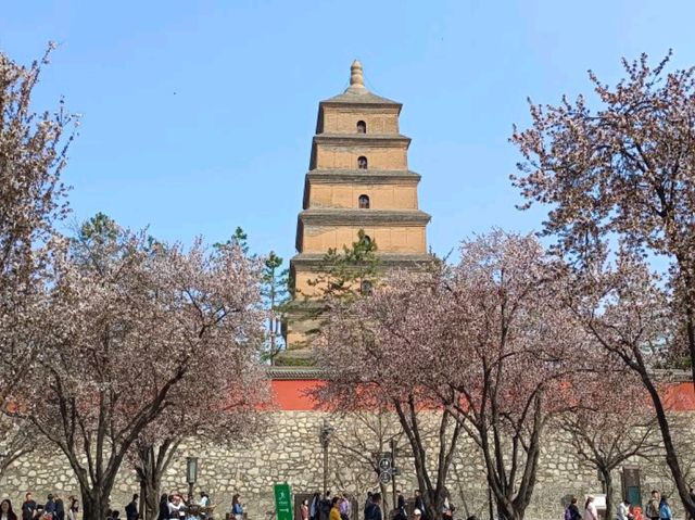 🇨🇳 เจดีย์ห่านป่าใหญ่ (Giant Wild Goose Pagoda)