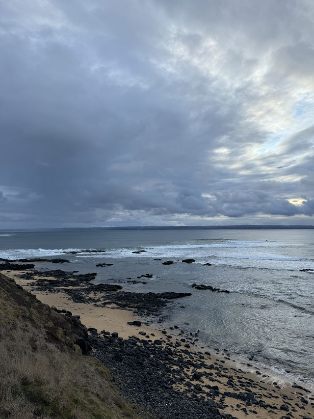 🇳🇿✈️ The Nobbies" refers to a captivating natural area 🌊🐟