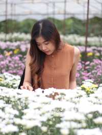 เที่ยวสวนบิ๊กเต้