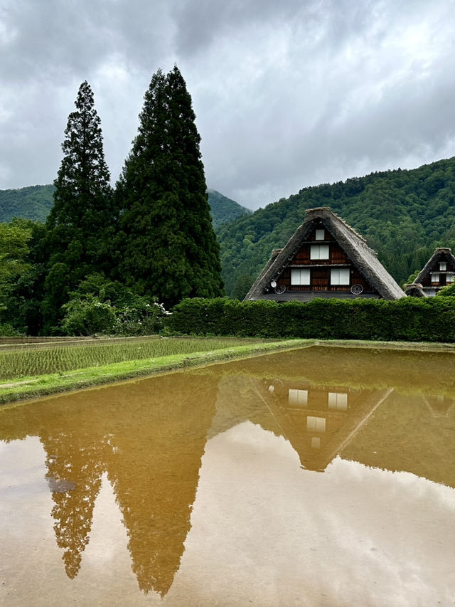 白川鄉之旅