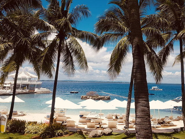 Cebu Visa Hack: Your FREE Philippine Stopover from Korea to Vietnam!