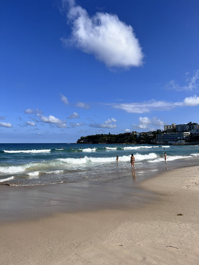 🌊☀️【Bondi Beach．陽光與浪花的擁抱】☀️🌊