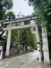 京都岡崎神社｜兔兔守護神社超可愛必拍！