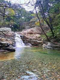 Forest Trails & Chill Peaks in Jangyu
