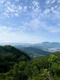 Misungsan Forest Feels