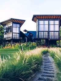 🌟 บ้านนับดาว บ้านไร่ อุทัยธานี