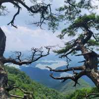 Eodapsan Vibes, Quiet Trails & Cloudy Peaks