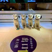 🇨🇳✨ Wangfujing Wonders: Beijing’s Shopping & Street Food Paradise! 🛍️🍢
