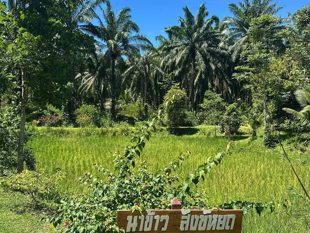 บ้านพรผู้สร้าง