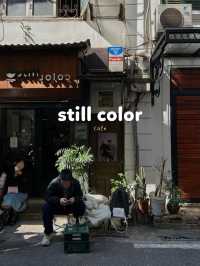 Still Color Café 