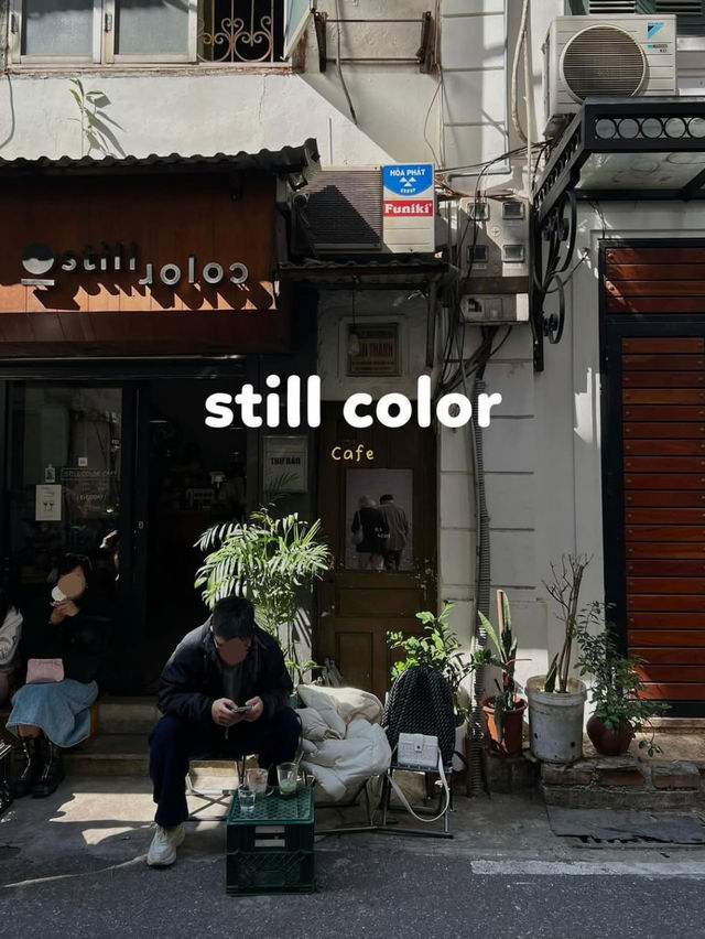 Still Color Café 
