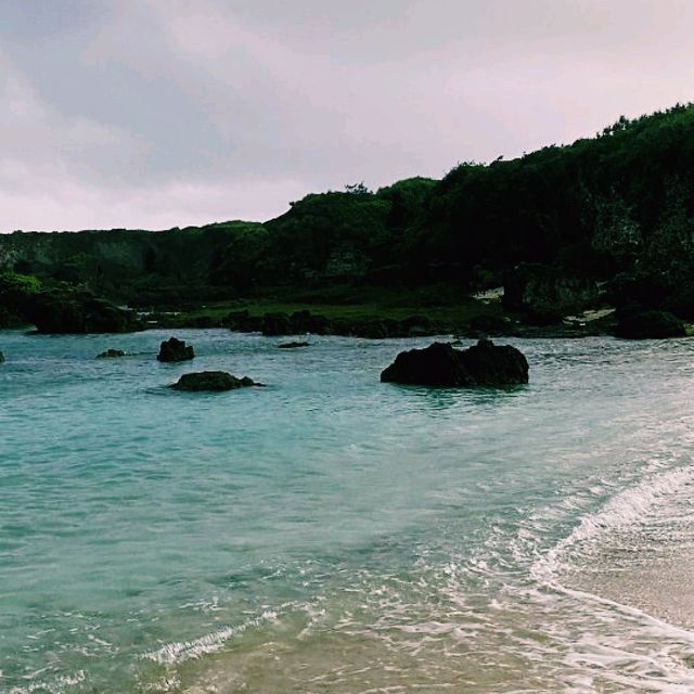 미야코지마 블루 터틀 투어 – 바다 위 액티비티와 바다거북의 조우 🌊🐢