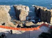 🌊 Udo Jingu – A Serene Cliffside Shrine by the Sea