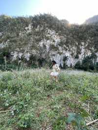 Connecting with nature in Cuba 