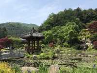 🌿 Garden of Morning Calm กาพยอง