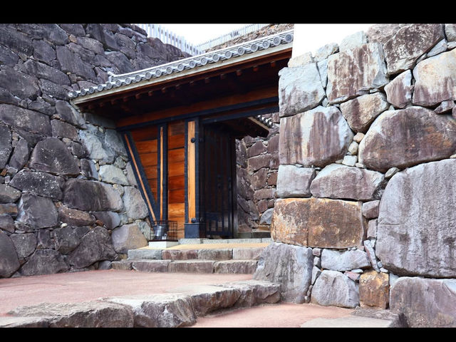 🏯歴史と絶景の融合！甲府城（舞鶴城公園）で戦国ロマンに浸る旅🌸