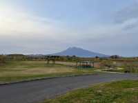 🍎 Apple Wonderland in Hirosaki – A Family Delight!