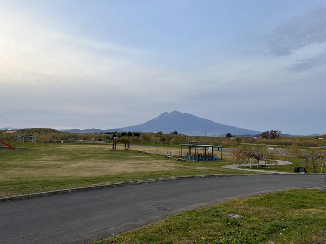 🍎 Apple Wonderland in Hirosaki – A Family Delight!
