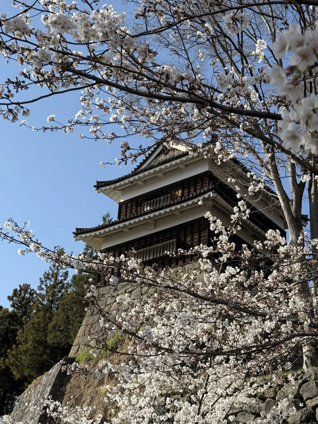 🏯長野・上田城｜真田氏ゆかりの歴史を感じる城跡