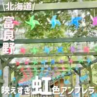 夏の絶景