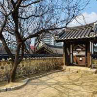 南山谷韓屋村 (남산골한옥마을) 