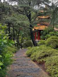 🍃✨ Chinese Garden, Singapore – Hidden Gem 🏯