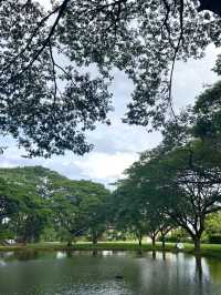 ปราณโกโก้