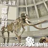 大迫力！ナウマンゾウの博物館