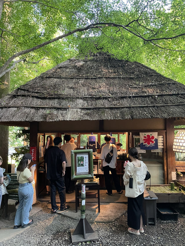 【東京】この夏に行きたい奥多摩にある人気カフェ☕🌿