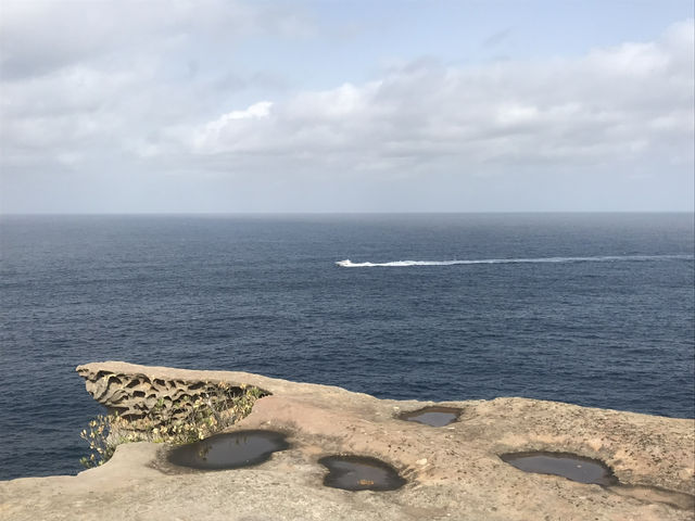 🌅 Watsons Bay – Laid-back Coastal Charm with Harbour Views